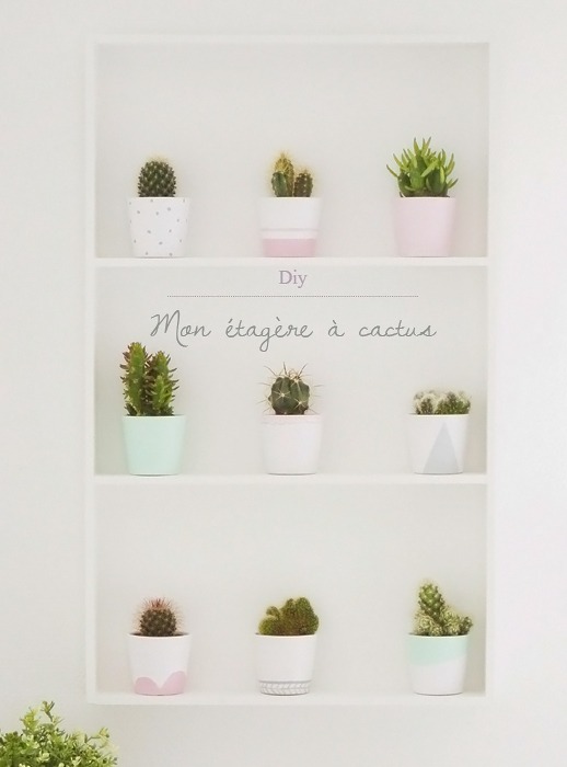 diy étagère à cactus Ikea 1
