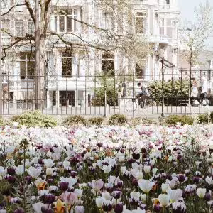 Amsterdam