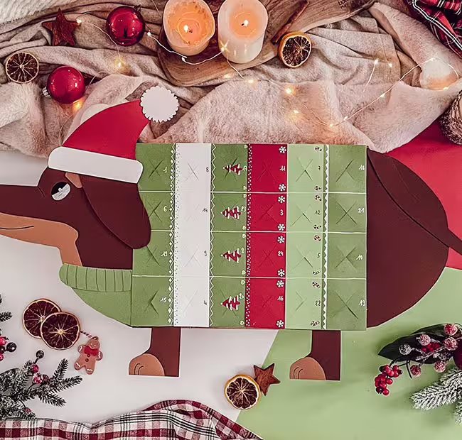 calendrier avent toutou